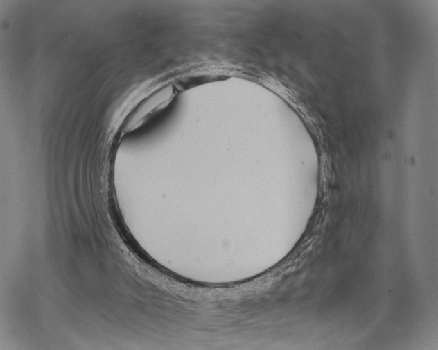 X0000068260007200605191814