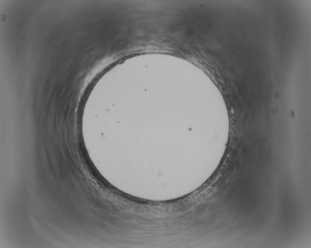 X0000068260008200605191814