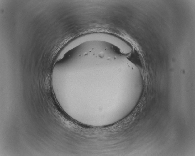 X0000068260009200605191814