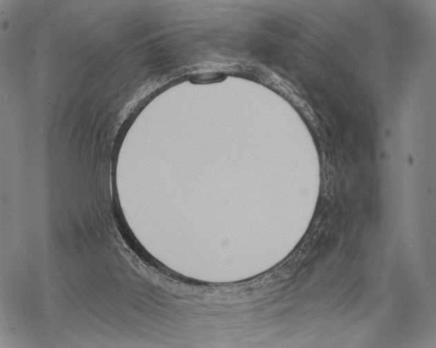 X0000068260011200605191814