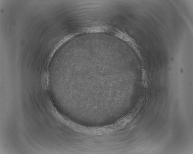 X0000068260012200605191814