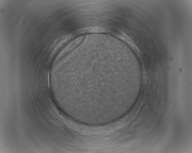 X0000068260014200605191814