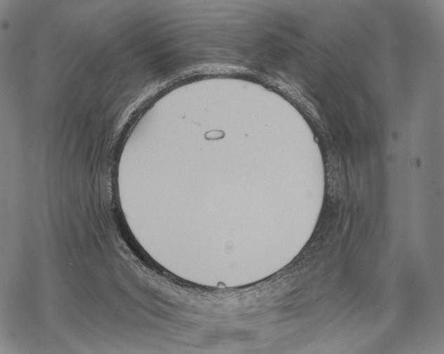 X0000068260015200605191814