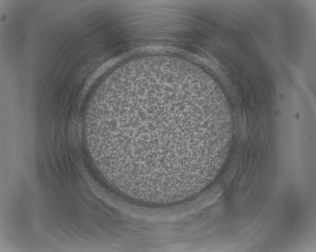 X0000068260016200605191814