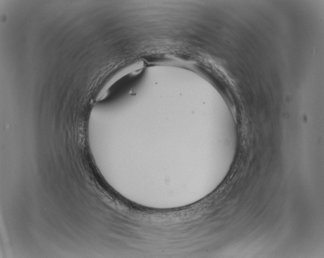 X0000068260017200605191814