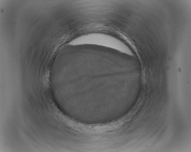 X0000068260018200605191814