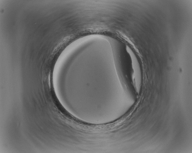 X0000068260019200605191814