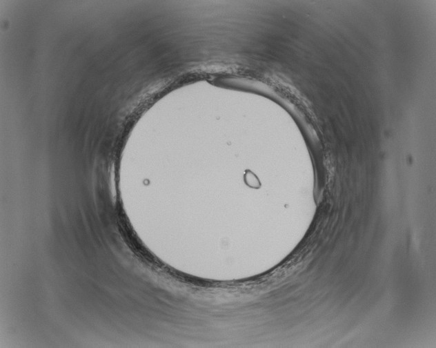 X0000068260020200605191814