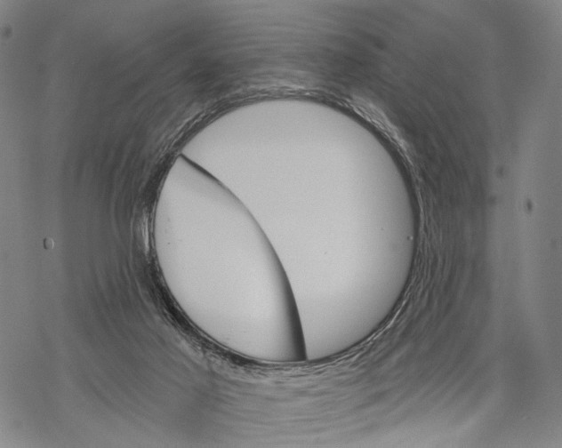 X0000068260021200605191814