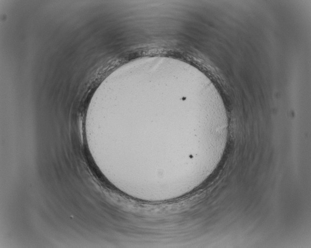 X0000068260022200605191814