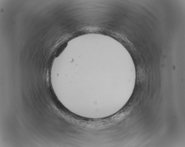 X0000068260024200605191814