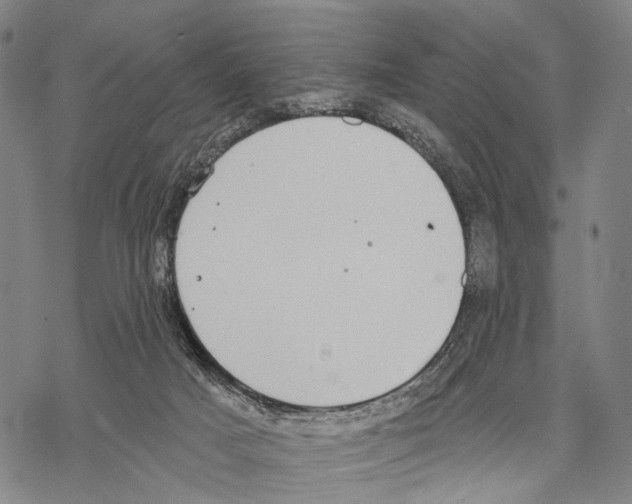 X0000068260025200605191814