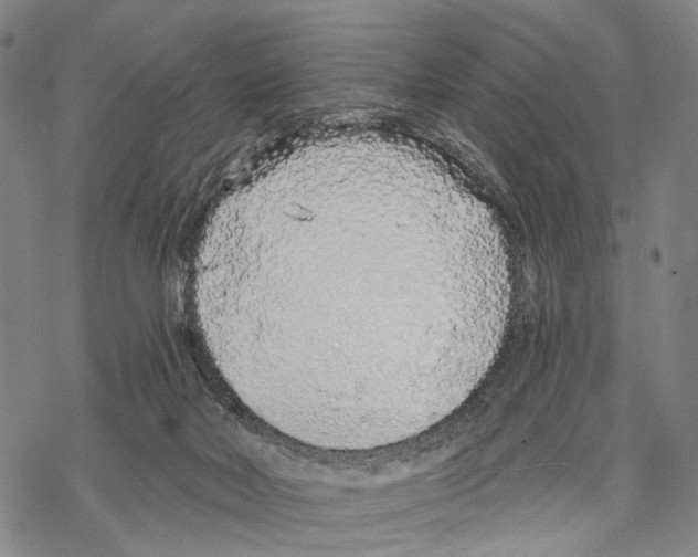 X0000068260026200605191814