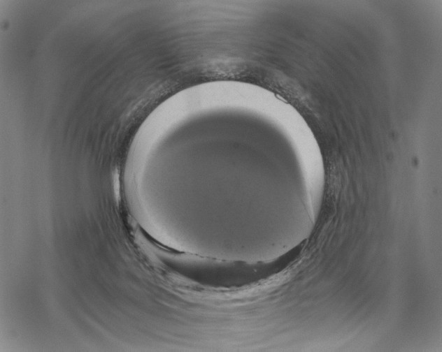 X0000068260027200605191814