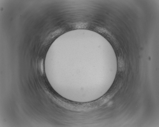 X0000068260028200605191814