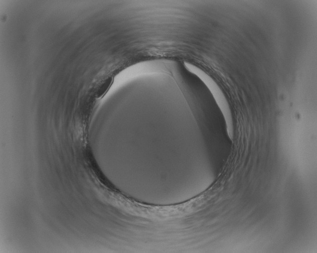 X0000068260031200605191814