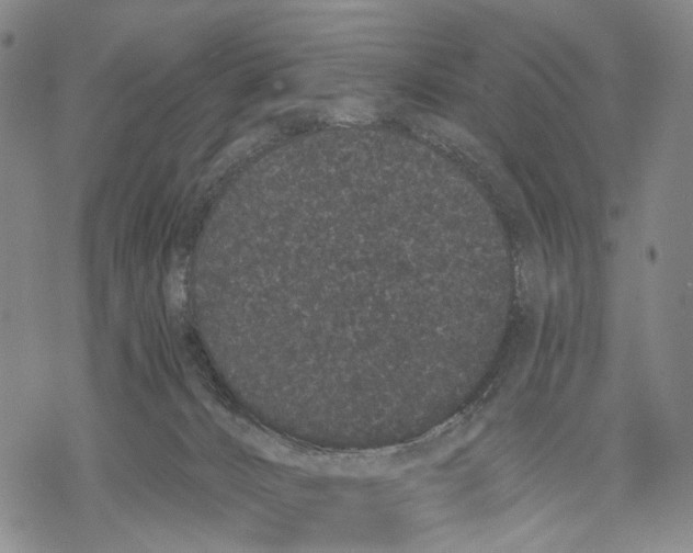 X0000068260032200605191814