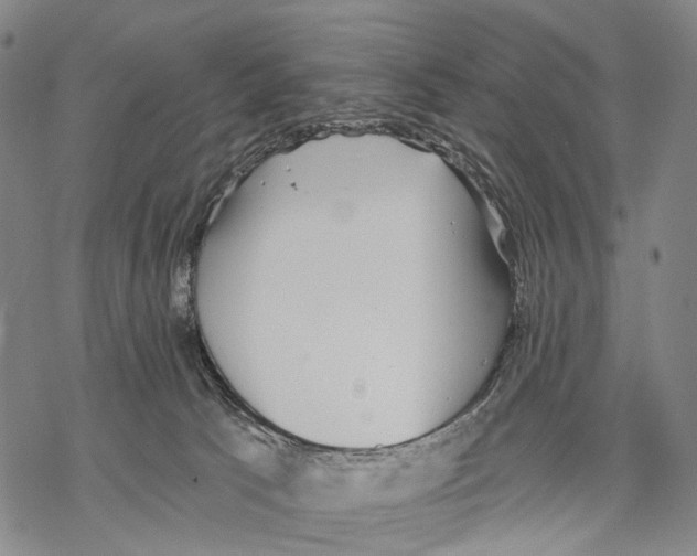 X0000068260033200605191814