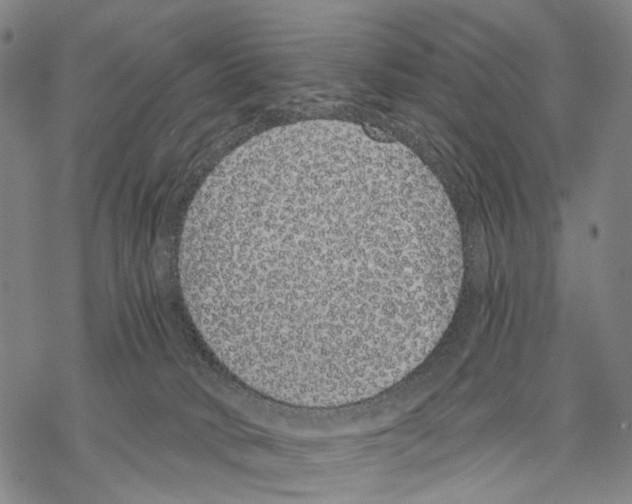 X0000068260034200605191814