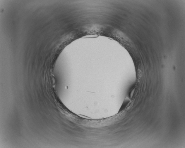 X0000068260037200605191814