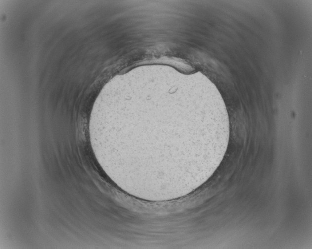 X0000068260038200605191814