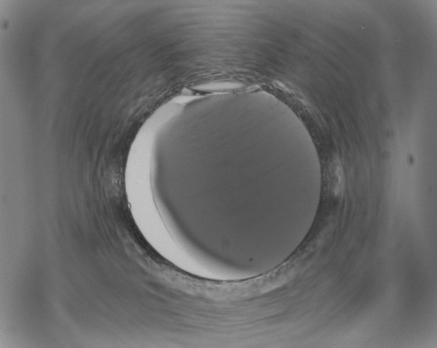 X0000068260039200605191814