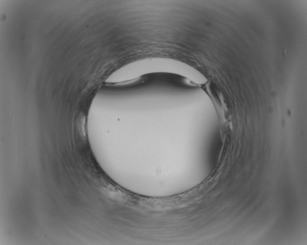 X0000068260041200605191814