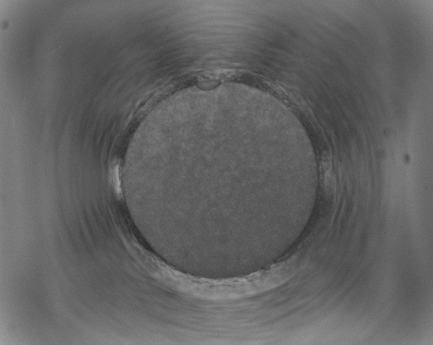 X0000068260042200605191814