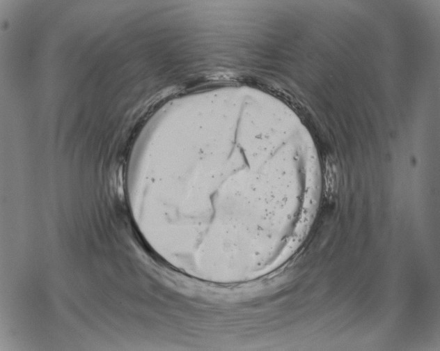 X0000068260043200605191814