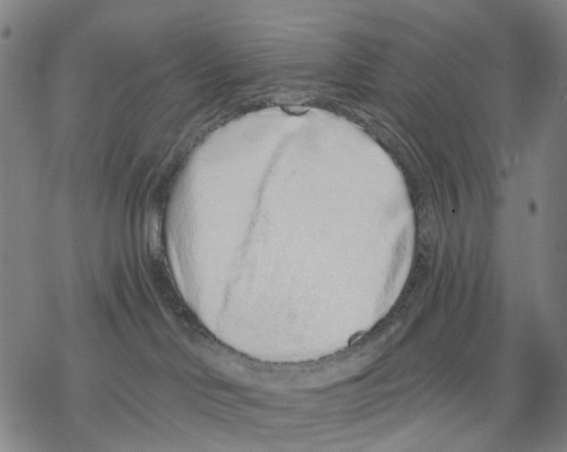 X0000068260046200605191814