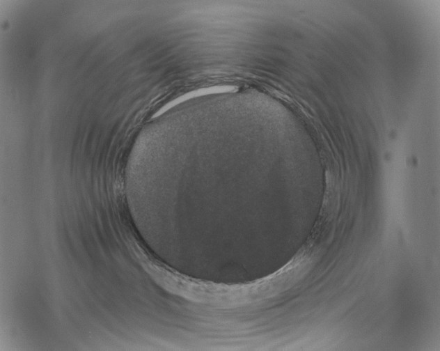 X0000068260048200605191814