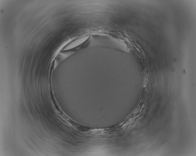 X0000068260052200605191813