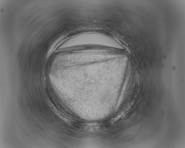 X0000068260053200605191813