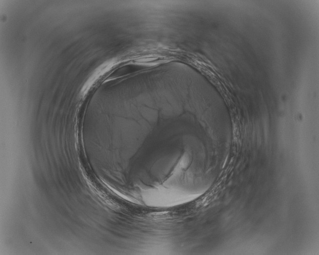 X0000068260054200605191813