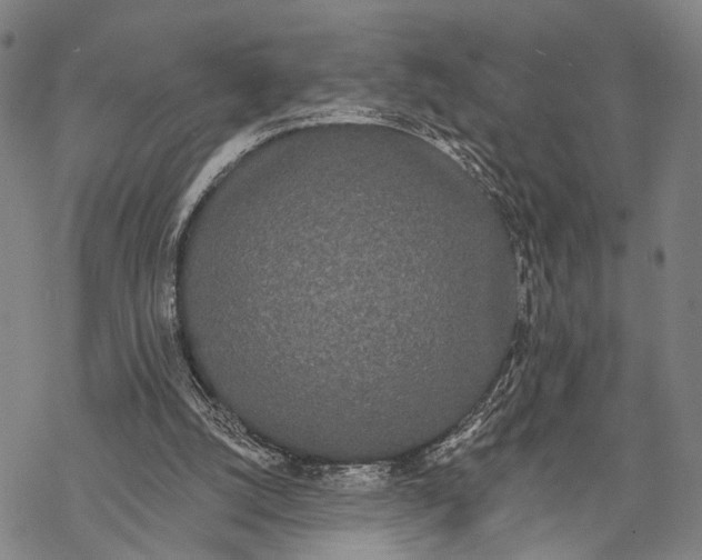 X0000068260056200605191813