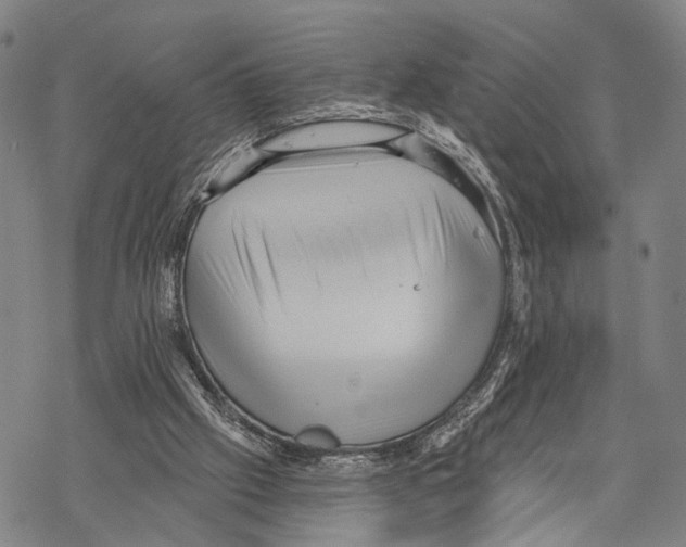 X0000068260057200605191813