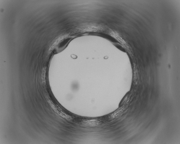 X0000068260058200605191813