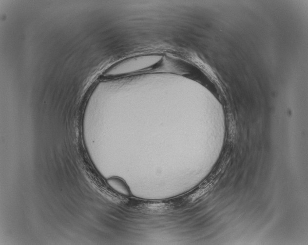 X0000068260059200605191813