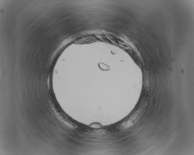 X0000068260063200605191813