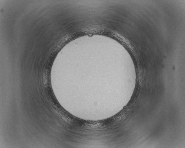 X0000068260065200605191813