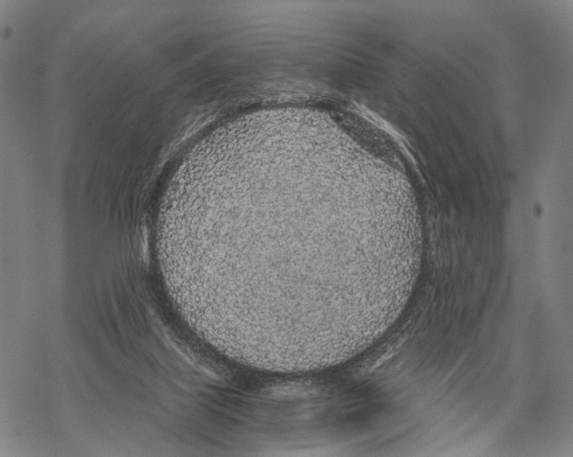 X0000068260067200605191813