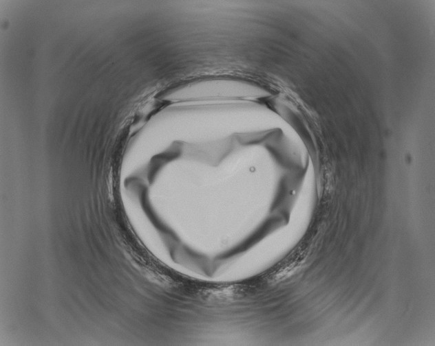 X0000068260068200605191813