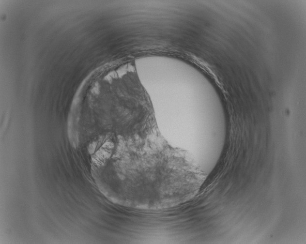 X0000068260069200605191813