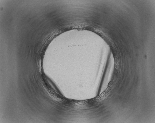 X0000068260070200605191813