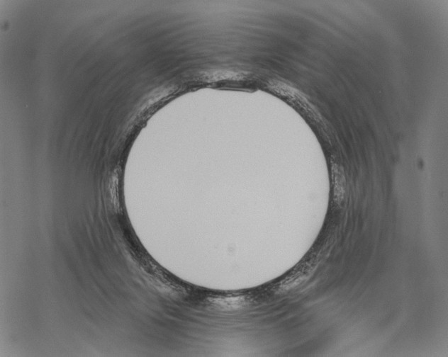 X0000068260071200605191813