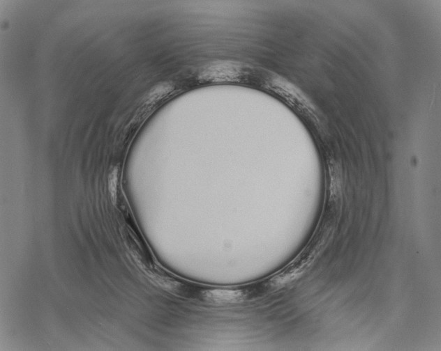 X0000068260073200605191813