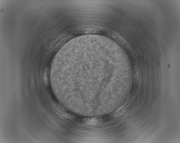 X0000068260074200605191813