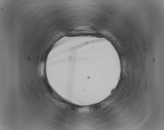 X0000068260075200605191813