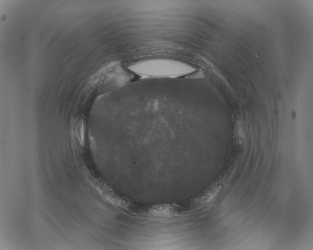 X0000068260076200605191813