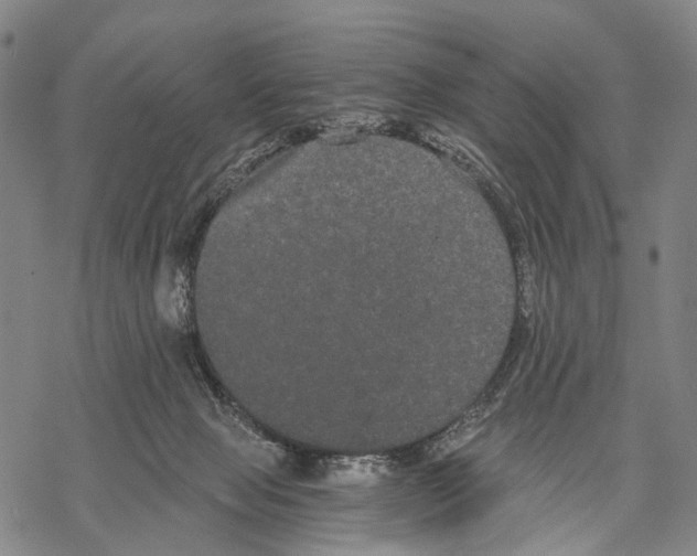 X0000068260077200605191813